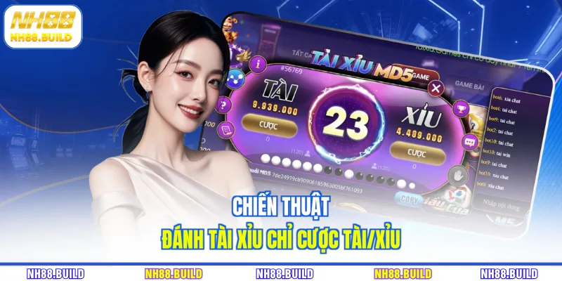 Chiến thuật đánh tài xỉu chỉ cược tài/xỉu