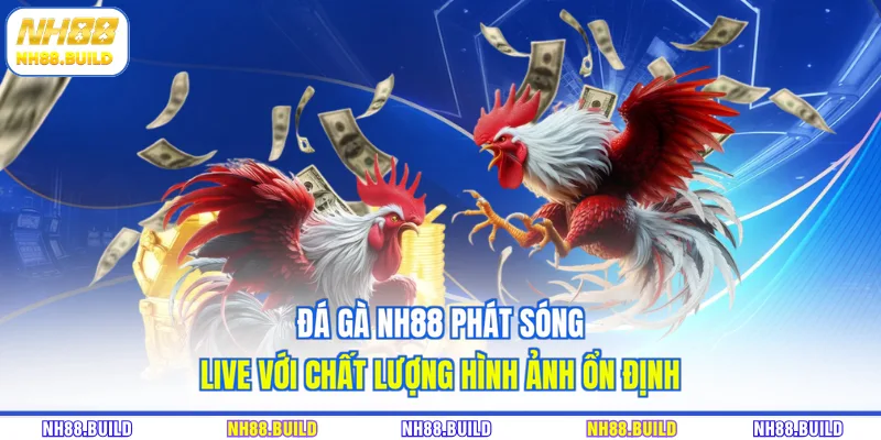 Đá gà NH88 phát sóng live với chất lượng hình ảnh ổn định Đá gà NH88 phát sóng live với chất lượng hình ảnh ổn định