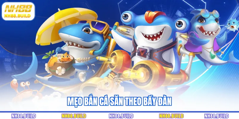 Mẹo bắn cá săn theo bầy đàn